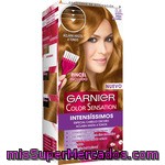 Garnier Color Sensation Intensíssimos Tinte Dulce De Leche Nº C.3 Especial Cabello Oscuro Aclara Hasta 4 Tonos Caja 1 Unidad Incluye Pincel