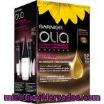 Garnier Olia Tinte Bronze Oscuro Nº 5.9 Coloración Permanente Con Aceites Florales Naturales Caja 1 Unidad Sin Amoniaco