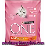 Gato Junior Purina One, Paquete 1,5 Kg