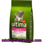 Gato Junior Ultima, Saco 1,5 Kg