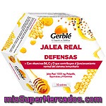 Gerble Jalea Real Defensas 10 Sobres Envase 132 G