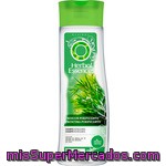 Herbal Essences Nude Champú Frescor Purificante Con Aroma De árbol De Té Frasco 400 Ml