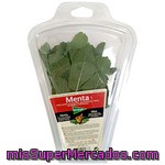 Herbex Menta Estuche 20 G