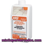 Hg Limpiador Abrillantador Para Suelos De Baldosas Frasco 1 L