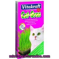 Hierba Para Gatos Vitakraft 120 Grs Vitakraft 120 Gr.