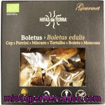 Hifas Da Terra Boletus Edulis Ecológico Bolsa 30 G