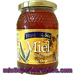 Hijas Del Sol Serie Oro Miel De Eucalipto Envase 1 Kg