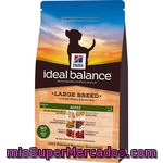 Hill's Ideal Balance Adult Alimento Elaborado Con Ingredientes Naturales Para Perros De Raza Grande Con Pollo Y Arroz Envase 12 Kg
