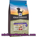 Hill's Ideal Balance Mature Adult Alimento Equilibrado Con Pollo Para Perros Mayores Envase 12 Kg