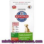 Hill's Science Plan Puppy Large Healthy Development Nutrición Superior Para Cachorros De Raza Grande Con Pollo Bolsa 11 Kg