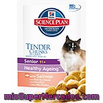 Hill's Science Plan Senior Tender Chunks Tiernos Trozos De Salmón En Salsa Para Gatos De + 11 Años Bolsa 85 G