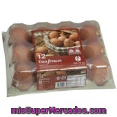 Huevos
            Condis L 63/73 Grs 12 Uni