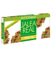 Jalea Real Ampollas Phytofarma 100 Ml.