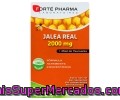 Jalea Real Más Miel De Tasmania Forté Pharma 20 Ampollas