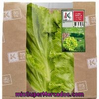 Lechuga Batavia Del País Vasco Eusko Label, Unidad