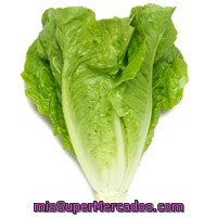 Lechuga Corazon Romana, Varios, U