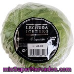 Lechuga Iceberg Selección 1 Unidad