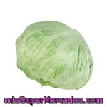 Lechuga Iceberg, Varios, U