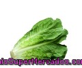 Lechuga Mini Romana 1 Unidad