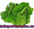 Lechuga Romana 1 Unidad