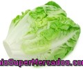 Lechuga Romana Auchan Producción Controlada 1 Unidad