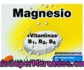Magnesio + Vitaminas Grupo B Vallesol 24 Comprimidos