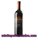 Masia Pubill Vino Tinto Reserva 2009 Catalunya 75cl. Baix Camp