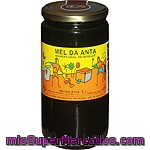 Mel Da Anta Miel Monofloral De Bosque I. G. P. Mel De Galicia Frasco 1 Kg