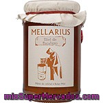 Mellarius Miel De Eucalipto Tarro 500 G