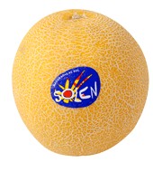 Melón Galia Pieza De 1000.0 G. Aprox