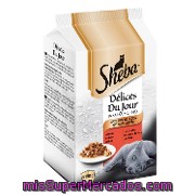 Mini Carnes Sheba Pack 6x50 Gr