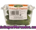 Mini Pepinos Fresquia 250 Gramos