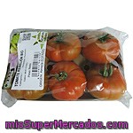 Mj.agroasesores Tomate Rebelión Ecológico Bandeja 500 G