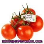 Natur Tomates Tomate Rama