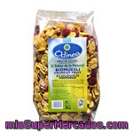 Odinea Bio Muesli Crunchy Fruit 250g