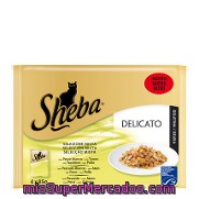 Pack Comida Para Gato Delicato Mixto Pescado Y Ave Sheba Pack 4 X 85 Gr.