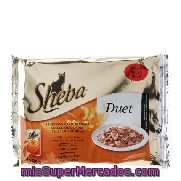 Pack Comida Para Gato Duet Pollo Sheba Pack 4 X 85 Gr.