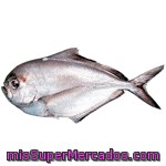 Palometa Fresca Entera  (preparado: Destripado, Sin Cabeza) ***sujeto A Disponibilidad***, Varios, Granel(peso Aproximado De La Unidad 2000 Gr)