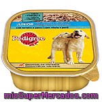 Pedigree Junior Para Perro Paté Con Conejo E Hígado Tarrina 300 G