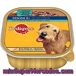 Pedigree Tarrina Senior Pedigree 300 Gr