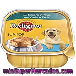 Pedigrre Tarrina Junior 300gr Pedigree 300 Gr