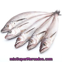 Pescadilla Americana, Pieza Al Peso Aprox. 500 G