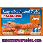 Pescanova Langostino Austral Cocido Gigante 15-22 Piezas Estuche 800 G Neto Escurrido