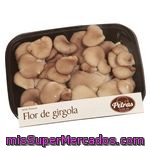 Petràs Setas Flor De Girgola 120g