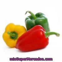 Pimiento Tricolor, Malla 500 G