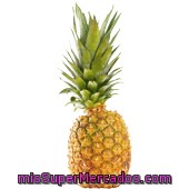 Piña
            Del Monte 1,9 Kgs