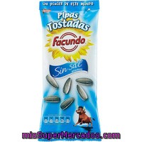 Pipas Sin Sal Facundo 100 G.