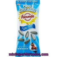 Pipas Tostadas Sin Sal Facundo, Bolsa 100 G