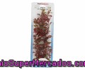 Planta Plástico 30 Cm. Red Ludwigia 1 Unidad