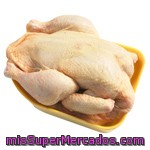 Pollo Limpio Aprox. 1500g/ban.